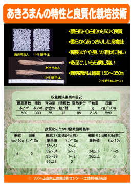 ・腹白粒・心白粒が少なく良質 ・柔らかくあっさりした良食味 ・稈長はやや