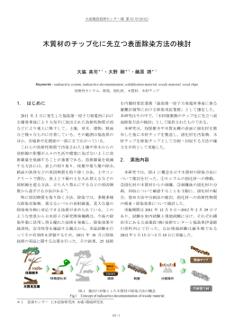 木質材のチップ化に先立つ表面除染方法の検討