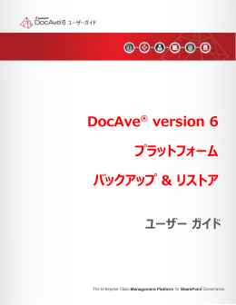DocAve&reg; version 6 プラットフォーム バックアップ & リストア