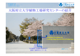 大阪府立大学植物工場研究センターの紹介