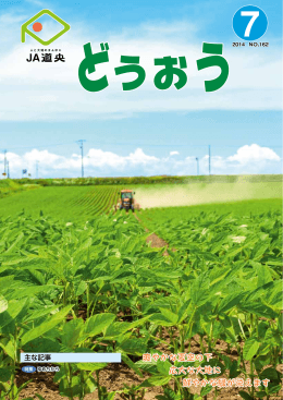 爽やかな夏空の下 広大な大地に 鮮やかな緑が栄えます