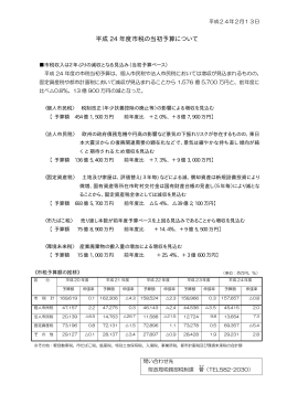 平成 24 年度市税の当初予算について