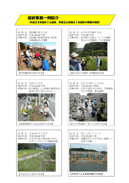 採択事業紹介 [594KB pdfファイル]