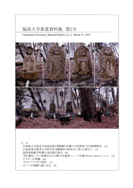 Page 1 Page 2 Page 3 行政政策学類考古学研究室発掘資料(福島市上