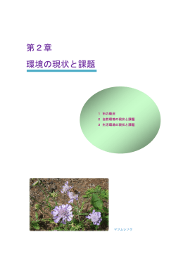 第2章 環境の現状と課題(PDF文書)
