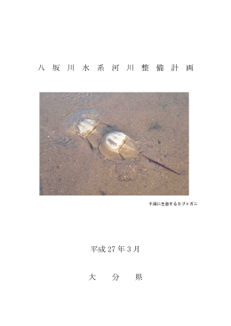 八坂川水系河川整備計画 [PDFファイル／19.34MB]