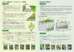 生垣・花壇造成・シンボルツリーの植栽 屋上緑化・壁面緑化