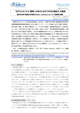 UVSSA遺伝子 - カネボウ化粧品