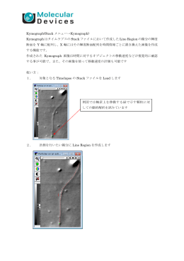 Kymograph(Stack メニュー&rarr;Kymograph) Kymograph はタイムラプス