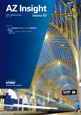 データ監査技法（CAAT）