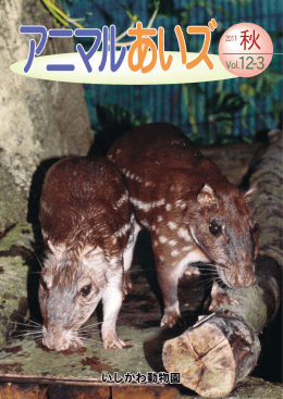 2011年 秋 Vol．12－3（PDF：ファイル/700KB）