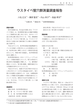 ウスタイベ竪穴群測量調査報告