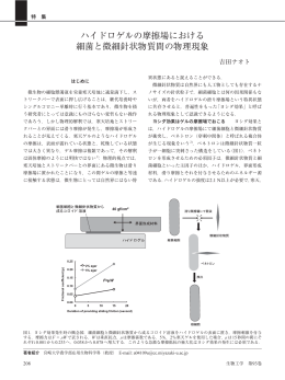 ハイドロゲルの摩擦場における 細菌と微細針状物質間の物理現象