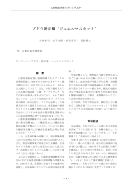 ブドウ新品種`ジュエルマスカット`