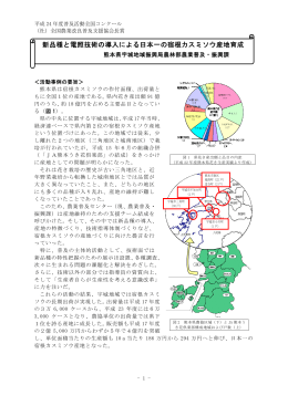 新品種と電照技術の導入による日本一の宿根カスミソウ産地育成