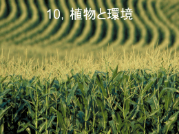 10，植物と環境