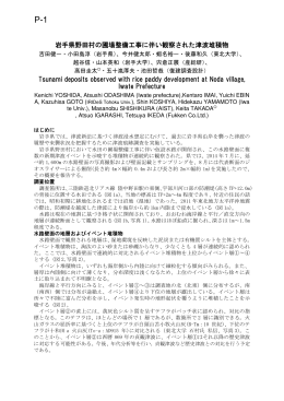 岩手県野田村の圃場整備工事に伴い観察された津波堆積物 Tsunami