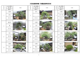 大宮盆栽美術館所蔵盆栽育成状況（平成26年9月）（PDF形式：3310KB）