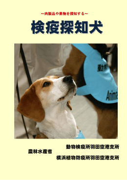 検疫探知犬（PDF：793KB）