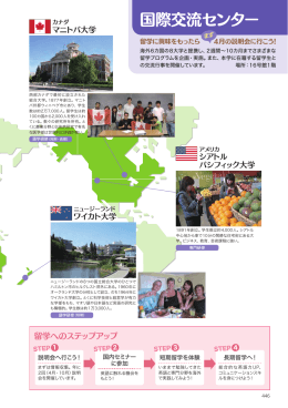 国際交流センター