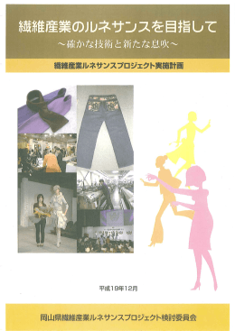 繊維産業ルネサンスプロジェクト実施計画