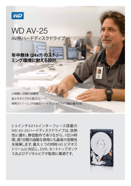 WD AV-25 AV Hard Drives