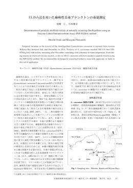 ELISA法を用いた麻痺性貝毒プランクトンの毒量測定（PDF：756KB）