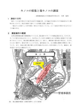 キノコの採集と毒キノコの調査