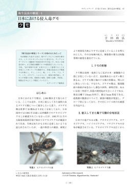 クモ 日本における侵入毒グモ