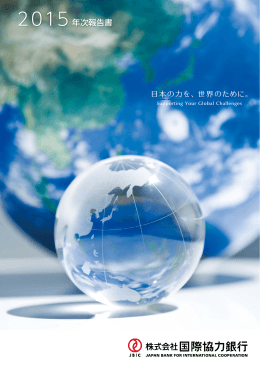 2015 年次報告書
