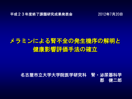 メラミンによる腎不全の発生機序の解明と健康影響評価手法の確立 [PDF