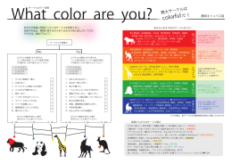 サークルカラー診断 What color are you?