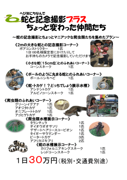 蛇と記念撮影プラス ちょっと変わった仲間たち