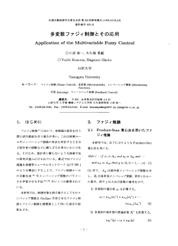 多変数ファジィ制御とその応用