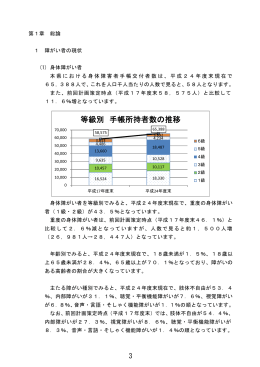 等級別 手帳所持者数の推移