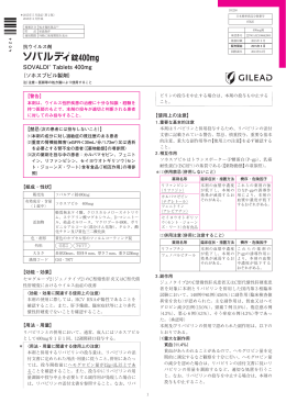 添付文書