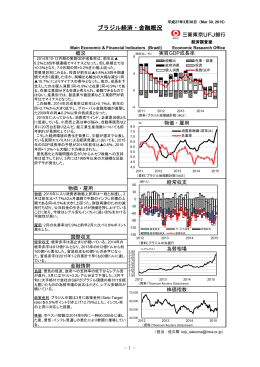ブラジル（2015年3月）