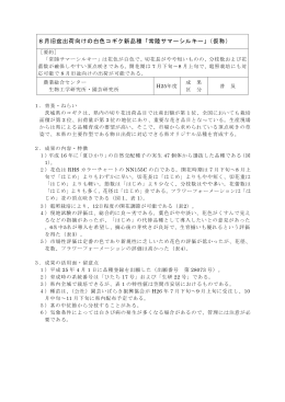 8月旧盆出荷向けの白色コギク新品種「常陸サマーシルキー