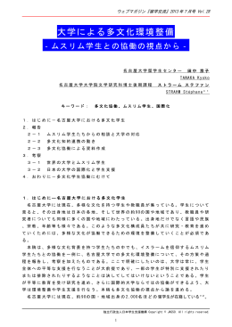 大学による多文化環境整備 田中京子、ストラーム