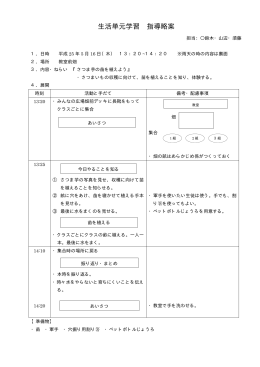 生活単元学習 指導略案