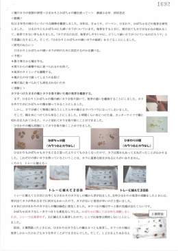 種のカラの役割の研究～ひまわりとかぼちゃの種を使って