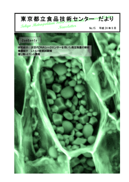 No.15 （PDF形式，1526KB）
