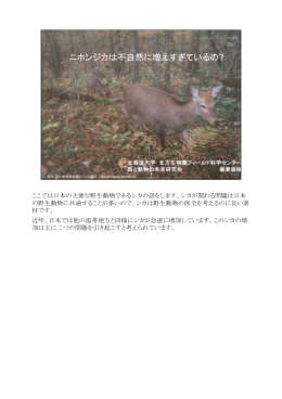 ここでは日本の主要な野生動物であるシカの話をします。シカが関わる
