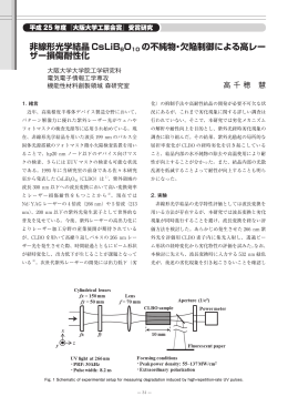 非線形光学結晶 CsLiB 6O10 の不純物・欠陥制御