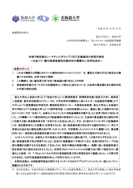 （HDD）記録媒体の実現可能性 ～白金フリー酸化物垂直