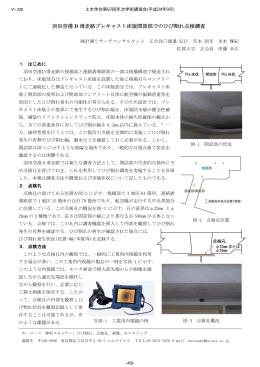 羽田空港 D 滑走路プレキャスト床版間詰部でのひび割れ点検調査