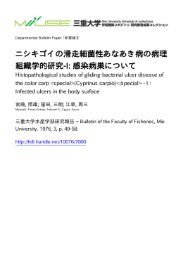 ニシキゴイの滑走細菌性あなあき病の病理 組織学的研究