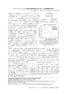 ポリイミドフィルムの温度可変暗電流計測に基づく電導機構の検討