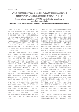 VTC2 の転写制御はアスコルビン酸生合成の明/ 暗調節に必須である