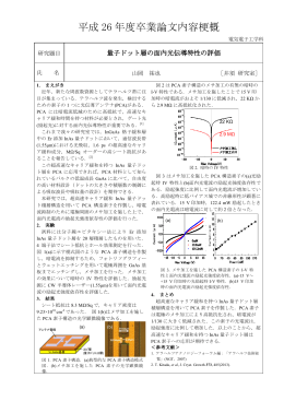 アブストラクトpdf